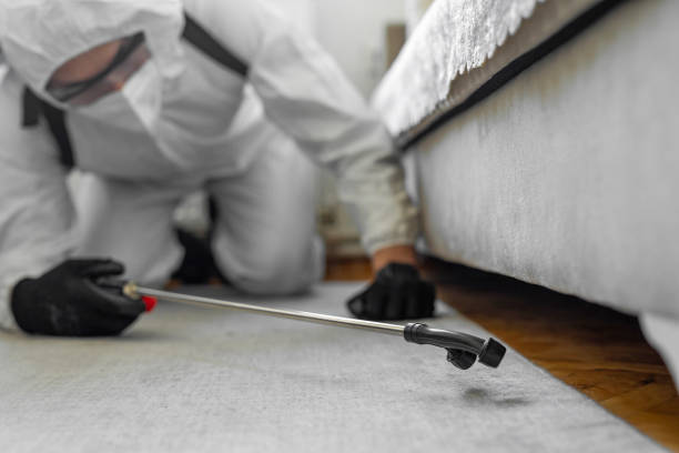 Professional Pest Control technician working in Yellowstone County County, MT